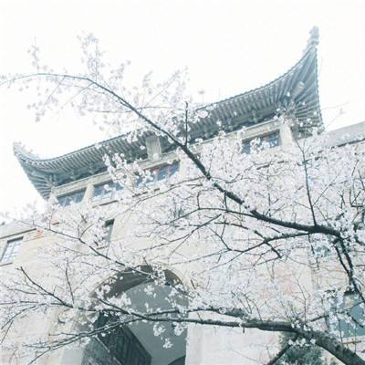 北京民办高校年检评估结果公布